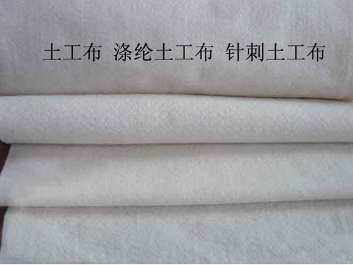 涤沦快猫黄色网站