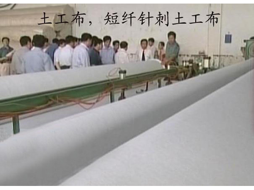 短刺快猫黄色网站